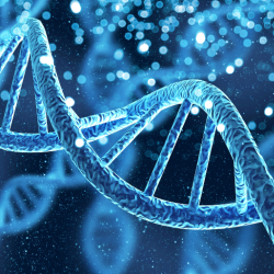 DNA Frequency